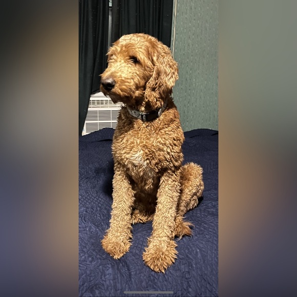 Listing #8 - Picture 1 of 1